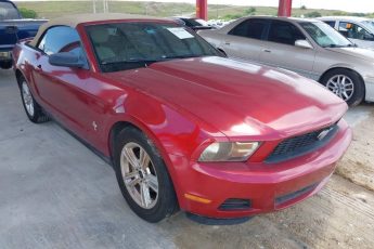 1ZVBP8EN8A5120587 | 2010 FORD MUSTANG