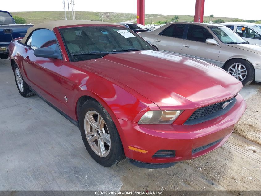 1ZVBP8EN8A5120587 | 2010 FORD MUSTANG