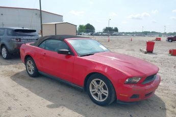 1ZVBP8ENXA5140503 | 2010 FORD MUSTANG