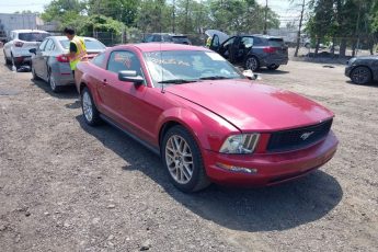 1ZVFT80N055162049 | 2005 FORD MUSTANG