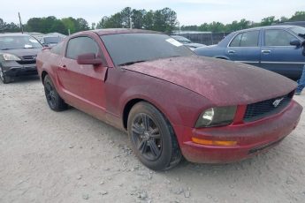 1ZVFT80N155145843 | 2005 FORD MUSTANG