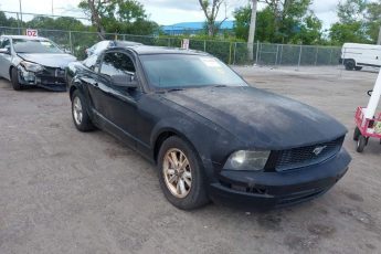 1ZVFT80N165101505 | 2006 FORD MUSTANG