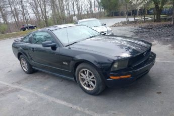 1ZVFT80N255240556 | 2005 FORD MUSTANG