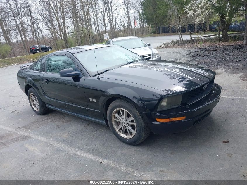 1ZVFT80N255240556 | 2005 FORD MUSTANG