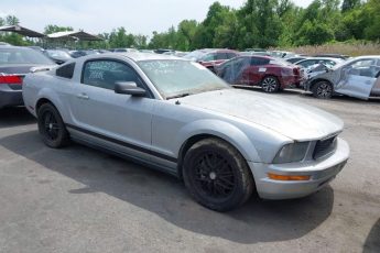 1ZVFT80N355128249 | 2005 FORD MUSTANG