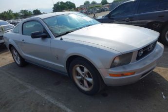 1ZVFT80N375351572 | 2007 FORD MUSTANG