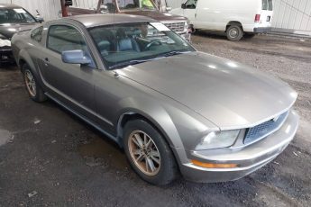 1ZVFT80N555140077 | 2005 FORD MUSTANG