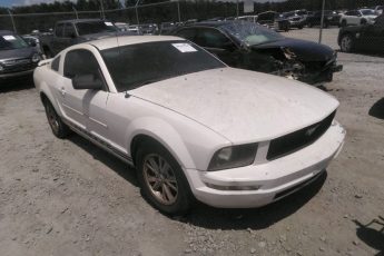 1ZVFT80N855154443 | 2005 FORD MUSTANG