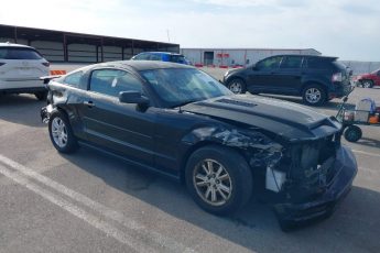 1ZVFT80N975293760 | 2007 FORD MUSTANG