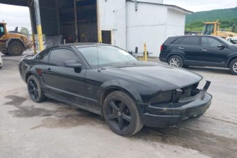 1ZVFT80NX65197294 | 2006 FORD MUSTANG