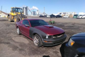 1ZVFT82H355105559 | 2005 FORD MUSTANG