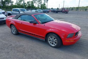 1ZVFT84N265149699 | 2006 FORD MUSTANG