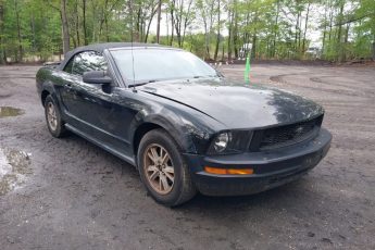 1ZVFT84N655238108 | 2005 FORD MUSTANG