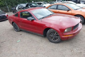 1ZVHT80N085193413 | 2008 FORD MUSTANG