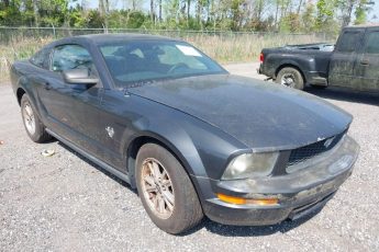 1ZVHT80N695123030 | 2009 FORD MUSTANG