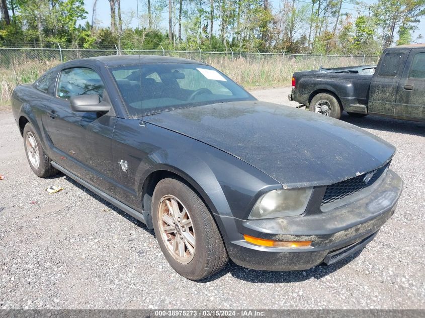 1ZVHT80N695123030 | 2009 FORD MUSTANG