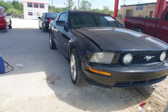 1ZVHT82H665219453 | 2006 FORD MUSTANG