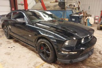 1ZVHT82H765116414 | 2006 FORD MUSTANG