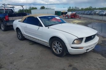 1ZVHT84N385193691 | 2008 FORD MUSTANG