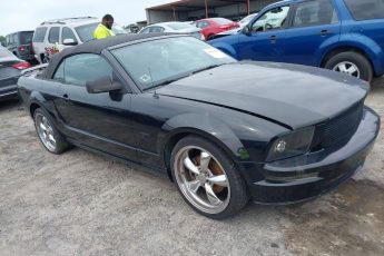 1ZVHT85H165106036 | 2006 FORD MUSTANG