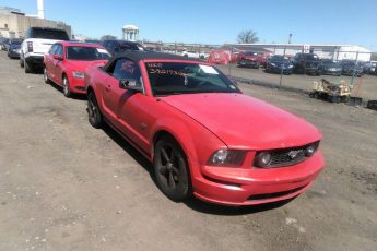 1ZVHT85H165245843 | 2006 FORD MUSTANG