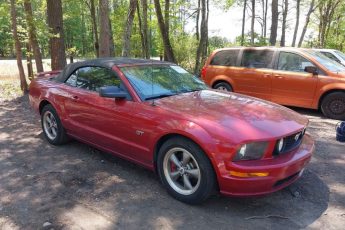 1ZVHT85H265165306 | 2006 FORD MUSTANG