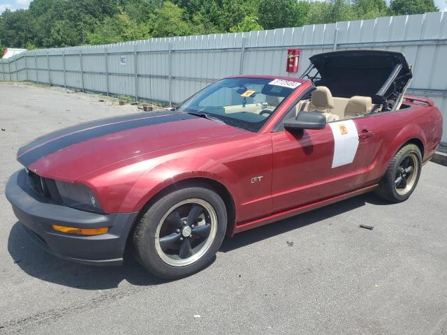 1ZVHT85H665172145 | 2006 Ford mustang gt