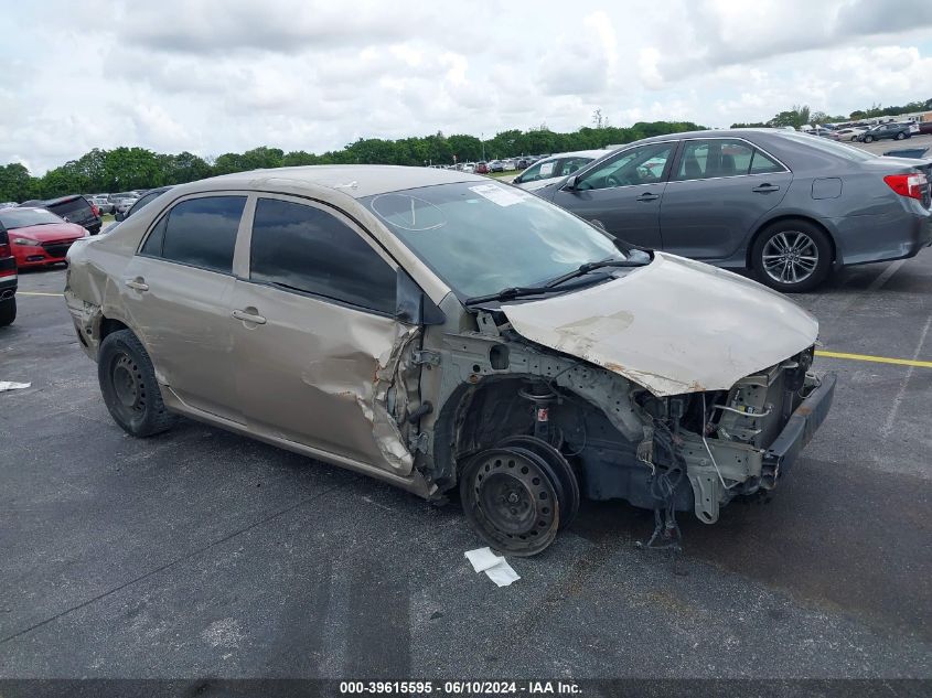 2T1BU40E49C161602 | 2009 TOYOTA COROLLA