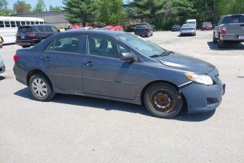 2T1BU4EE5AC324271 | 2010 TOYOTA COROLLA