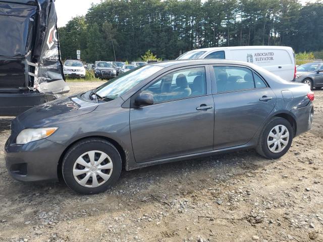 2T1BU4EEXAC491712 | 2010 Toyota corolla base