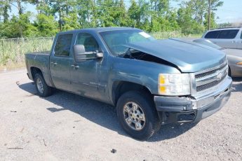 3GCEC13339G139217 | 2009 CHEVROLET SILVERADO 1500