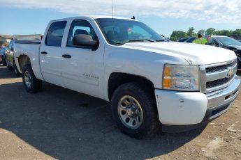 3GCRCREAXAG119675 | 2010 CHEVROLET SILVERADO 1500