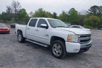 3GCRCSE01AG159688 | 2010 CHEVROLET SILVERADO 1500