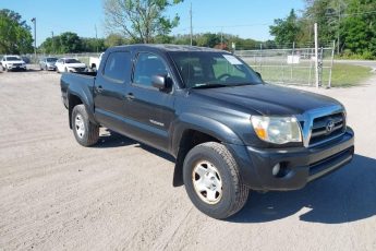 3TMLU42N59M035600 | 2009 TOYOTA TACOMA