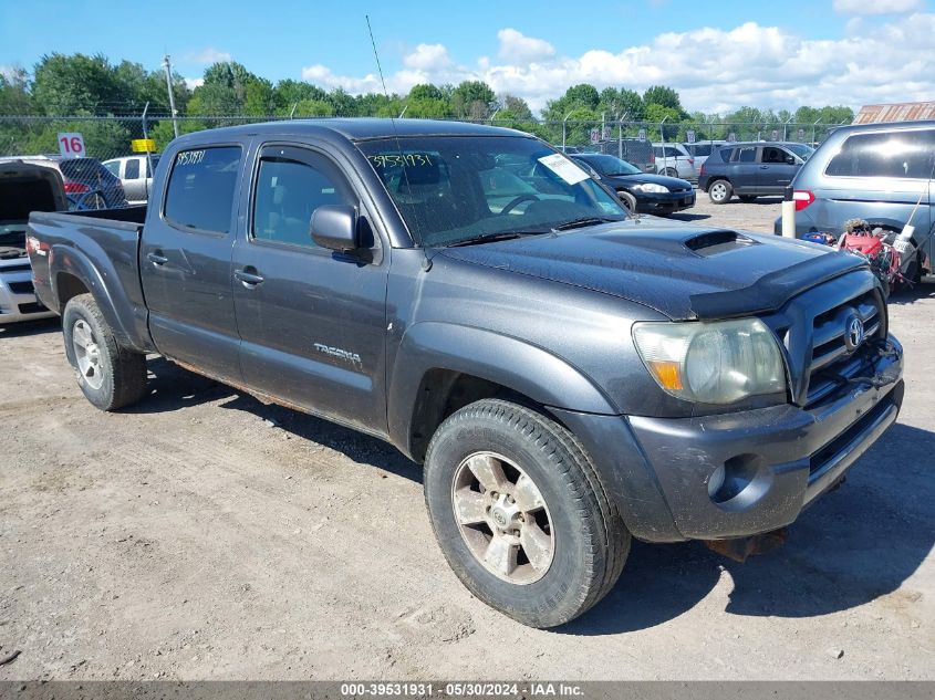 3TMMU52N79M012989 | 2009 TOYOTA TACOMA