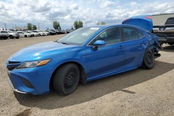 4T1B11HK9KU192866 | 2019 TOYOTA CAMRY L