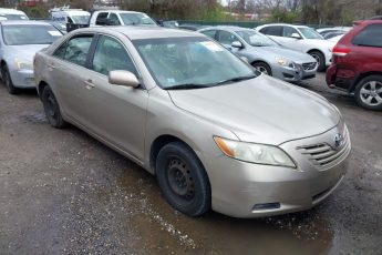 4T1BE46K19U849498 | 2009 TOYOTA CAMRY