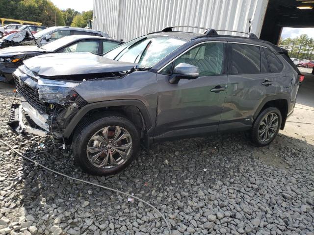 4T3B6RFV9NU091979 | 2022 TOYOTA RAV4 XLE P