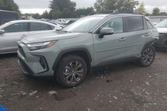 4T3B6RFVXPU126113 | 2023 TOYOTA RAV4 XLE P