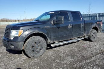 51886854 | 2010 Ford f150 supercrew