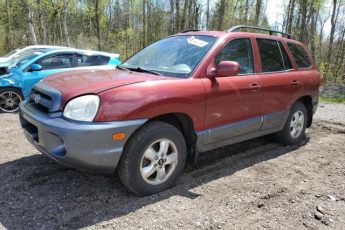 53403704 | 2005 Hyundai santa fe