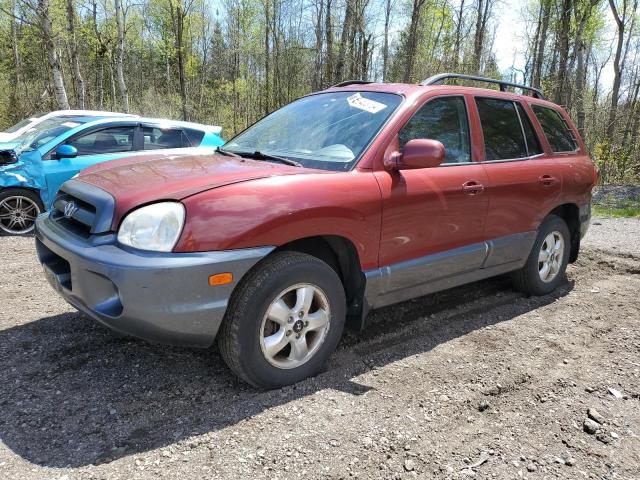 53403704 | 2005 Hyundai santa fe