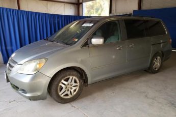 5FNRL38435B042243 | 2005 Honda odyssey ex