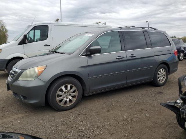 5FNRL38668B402000 | 2008 Honda odyssey exl