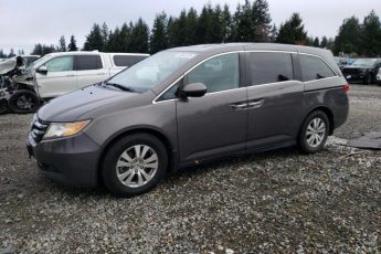 5FNRL5H62EB101750 | 2014 HONDA ODYSSEY EX