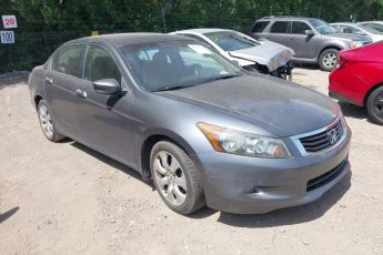 5KBCP36819B001911 | 2009 HONDA ACCORD