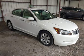 5KBCP36819B003142 | 2009 HONDA ACCORD