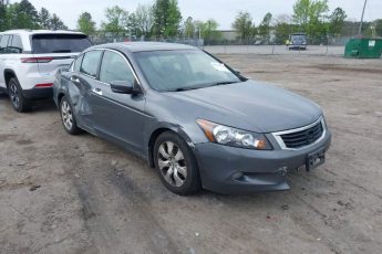 5KBCP36819B501096 | 2009 HONDA ACCORD