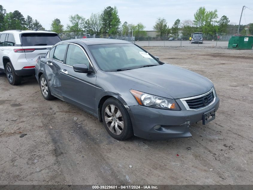 5KBCP36819B501096 | 2009 HONDA ACCORD