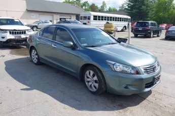 5KBCP3F80AB003850 | 2010 HONDA ACCORD